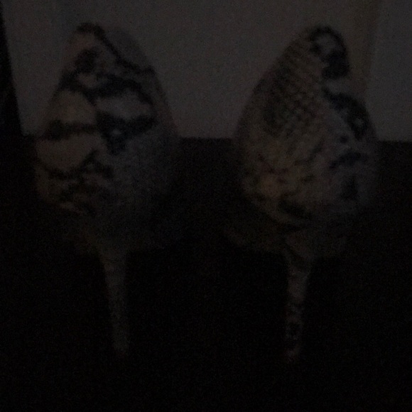 Beige-Python Pumps - Picture 4 of 5